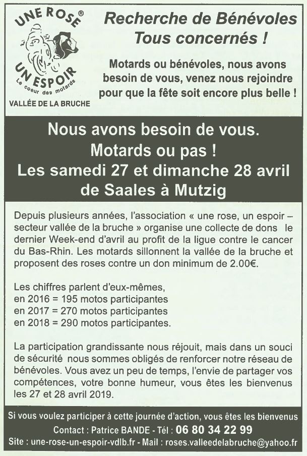 Article de presse 15